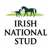 ins_logo_stacked_standard